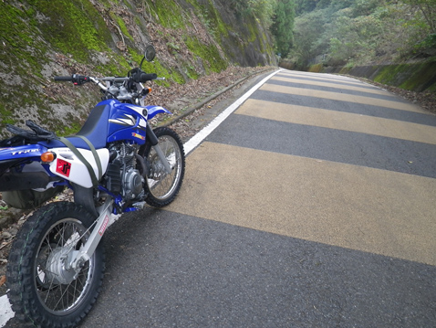 YAMAHA TTR125LWE